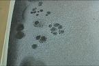 Fiberglass covering with voids