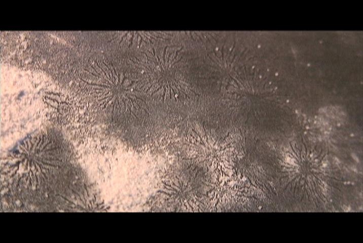negative spiders of
 passover-monitor experiment
